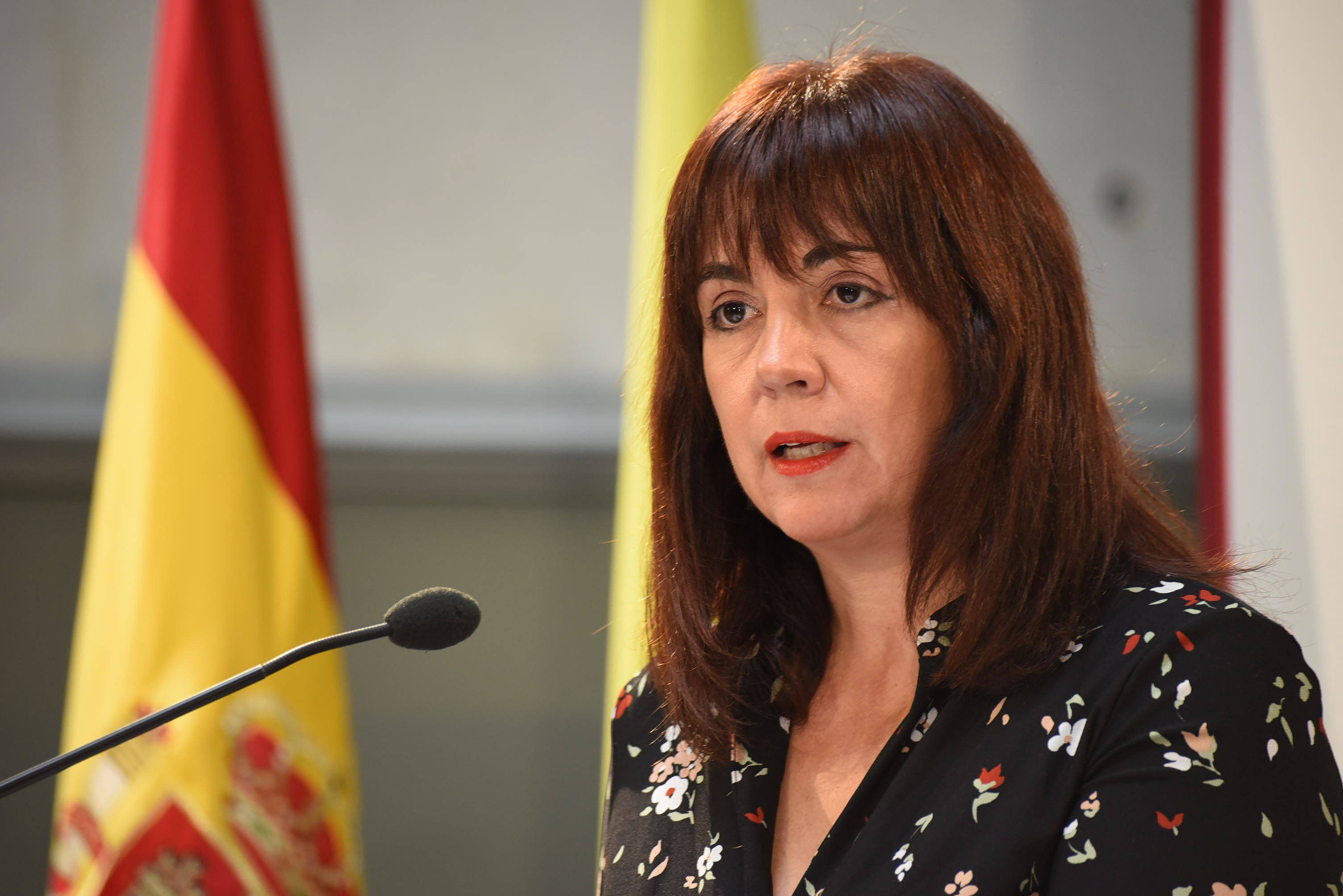 Diputación concede más de 300 ayudas a familias con dificultades de la provincia desde el inicio del confinamiento