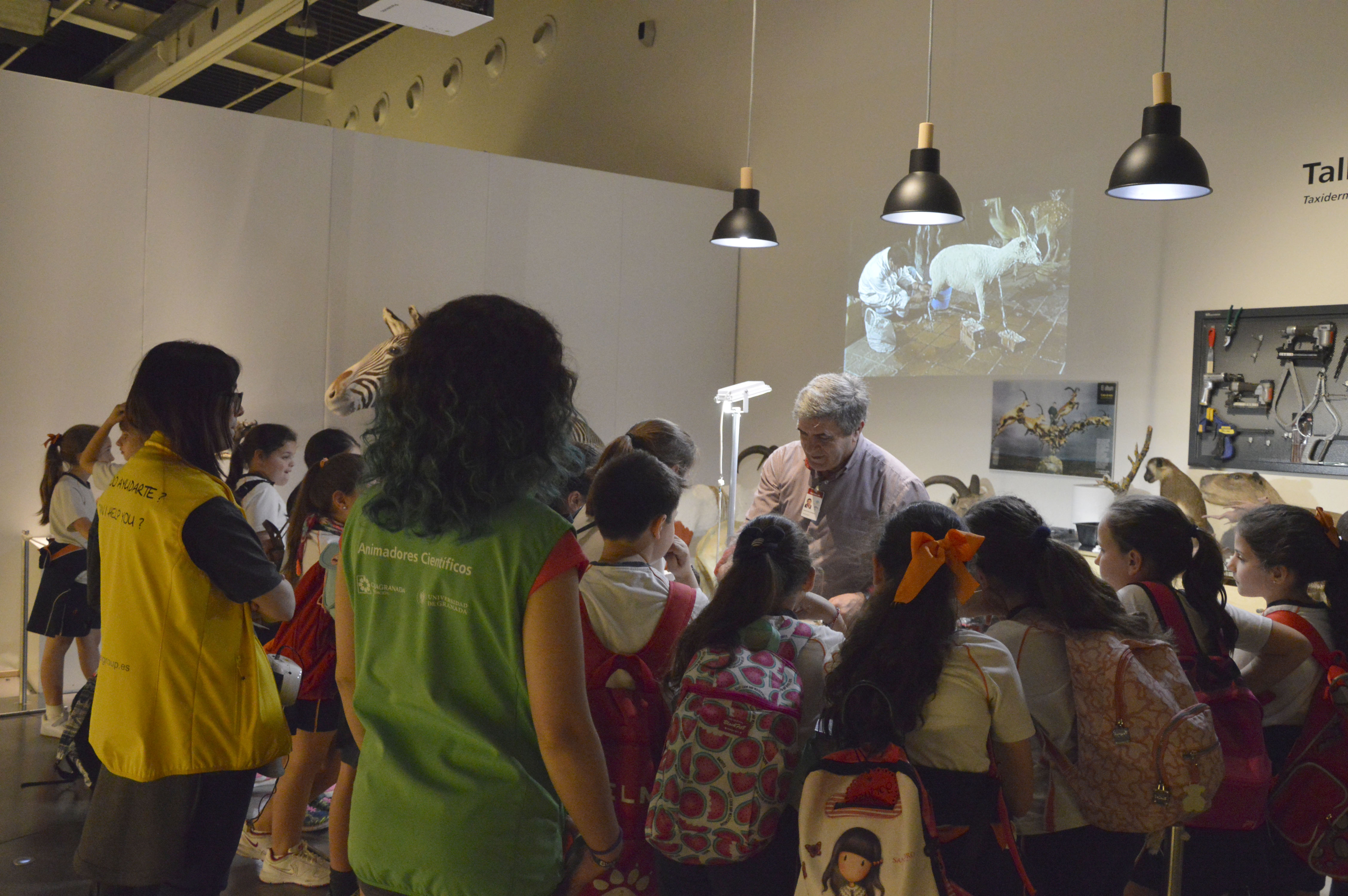 El Curso de Animación Científica vuelve al museo con 100 plazas para estudiantes de la UGR