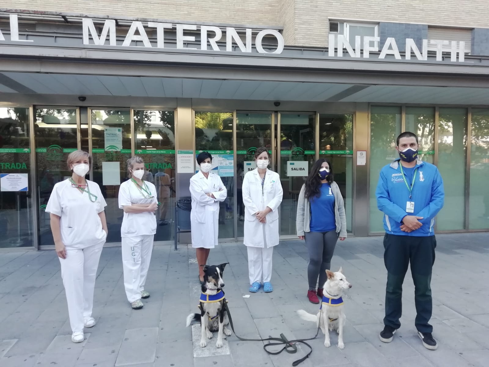 El Hospital Virgen de las Nieves retoma la terapia canina con un protocolo adaptado al Covid19