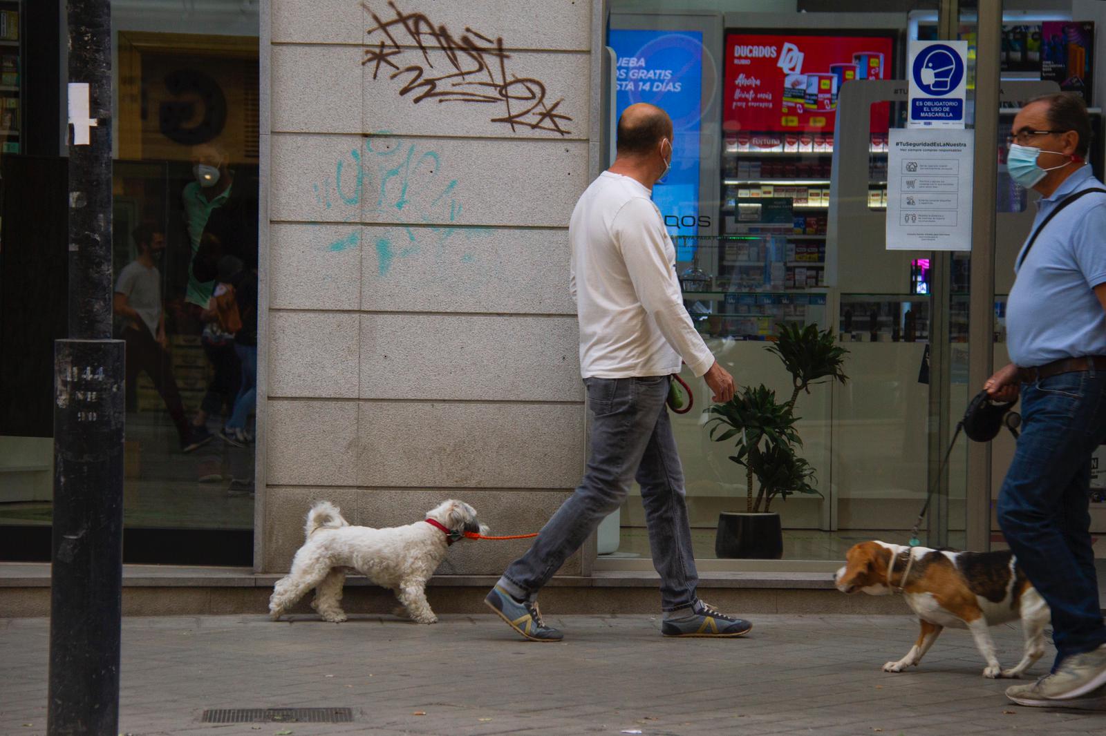 Vivir con un perro y comprar con entrega a domicilio factores de riesgo para contraer el coronavirus