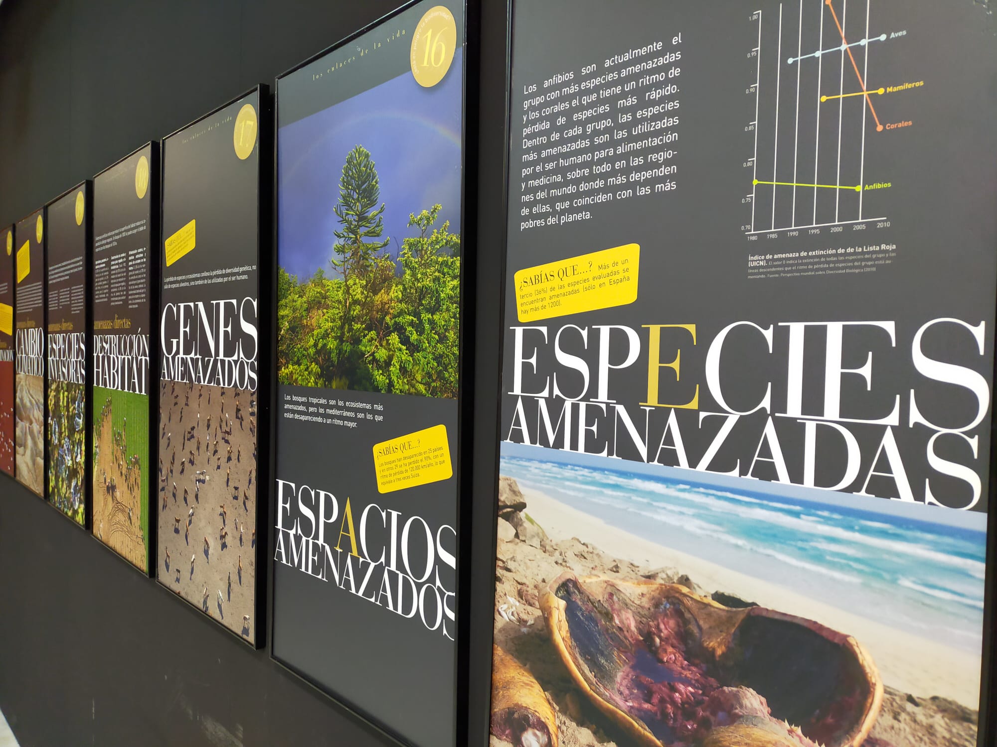 La Casa de la Cultura de Monachil acoge una exposición fotográfica sobre biodiversidad