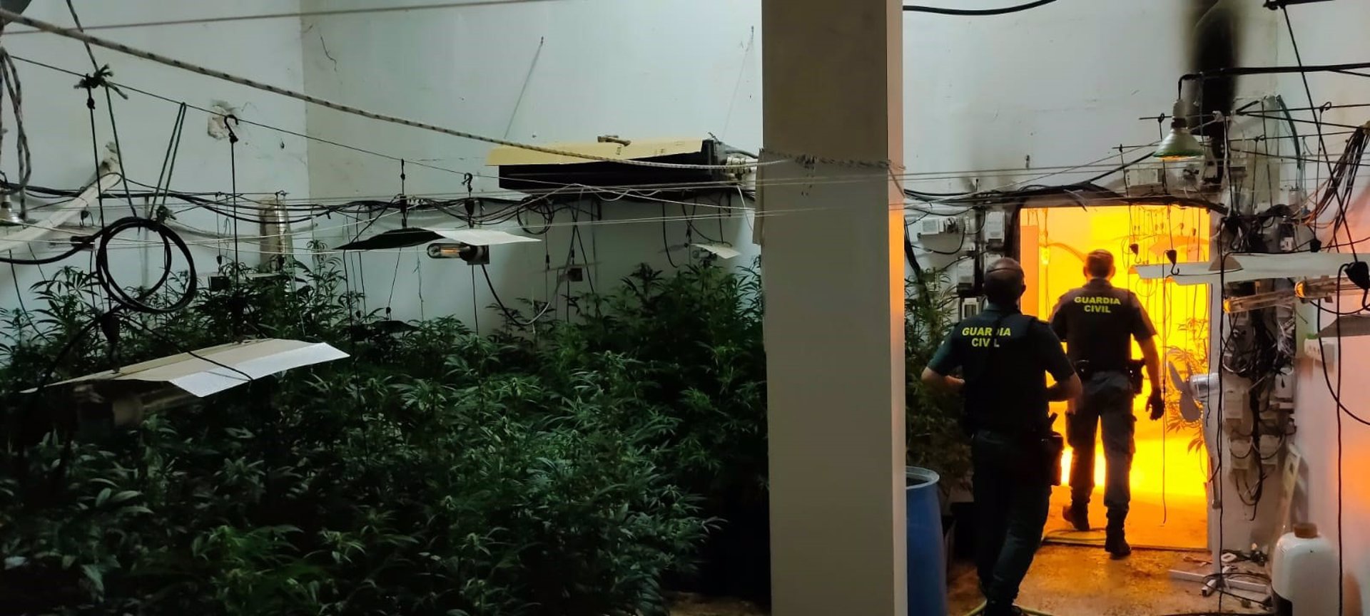 Dos detenidos acusados de montar un centro producción de marihuana en un chalé de Las Gabias