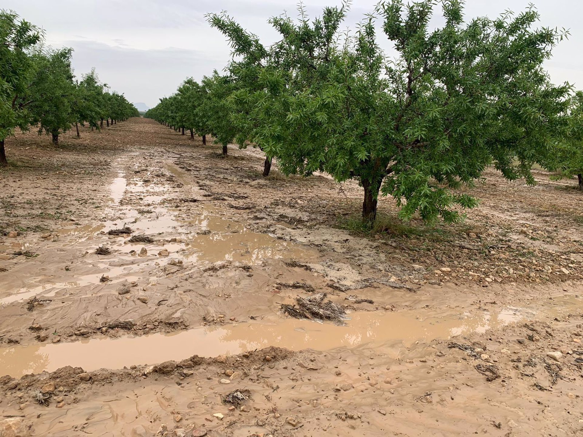 Puebla de Don Fadrique cifra daños del temporal en dos millones de euros y pide ayudas a las administraciones