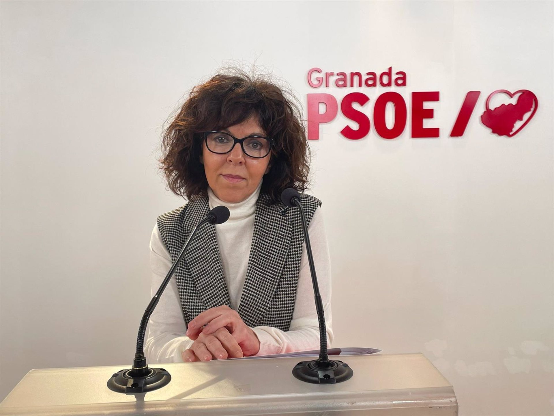 El PSOE critica que la Junta pretenda «dinamitar el sistema sanitario público en la provincia»